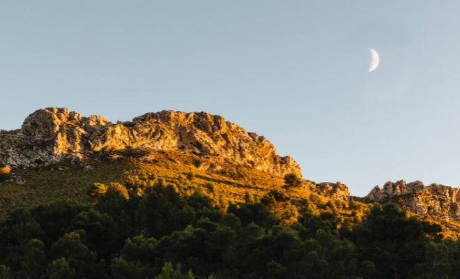 Formas de aprovechar la energía de la luna menguante