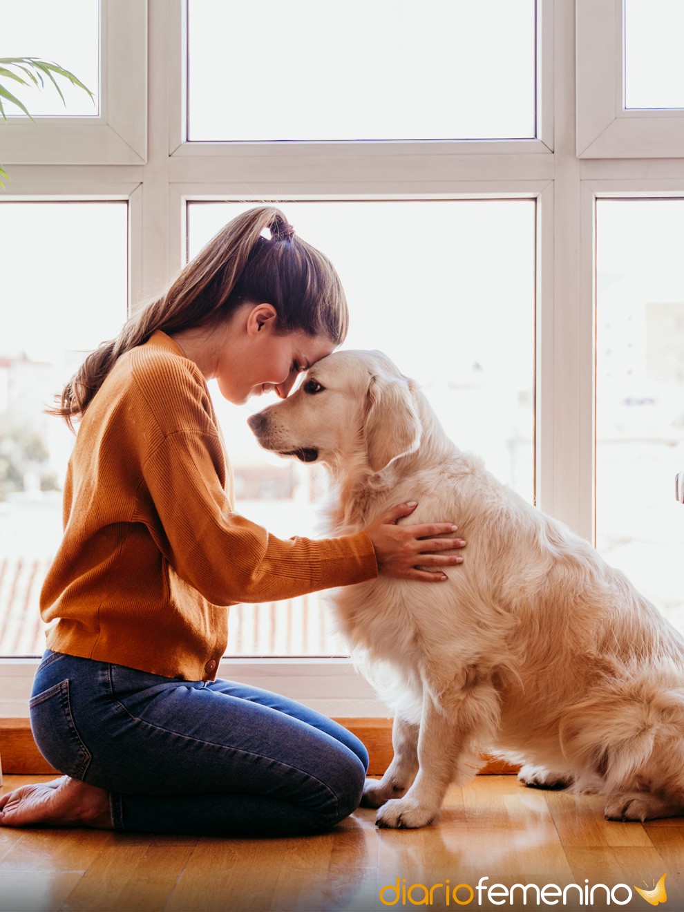 32 bonitas frases para perros: mensajes sobre el amor por tu mascota