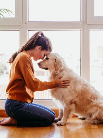 32 bonitas frases para perros: mensajes sobre el amor por tu mascota
