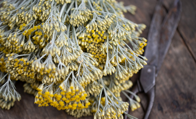 Perpetua para el asma