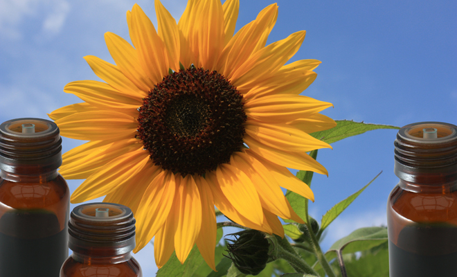 Helenio para el asma