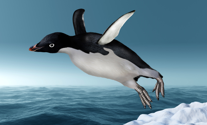 Interpretación de soñar con pingüinos que vuelan