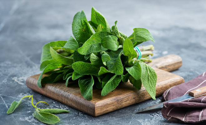 Salvia para el dolor menstrual