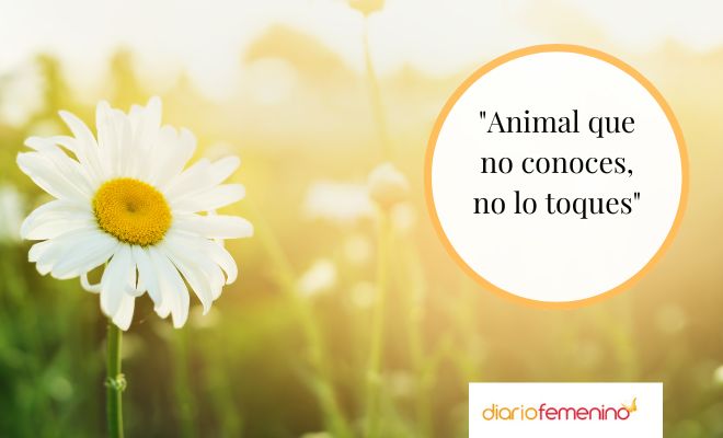 Proverbios mayas para reflexionar