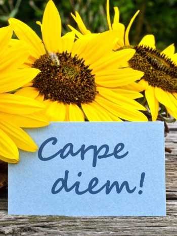 37 expresiones y proverbios en latín: grandes enseñanzas que debes conocer