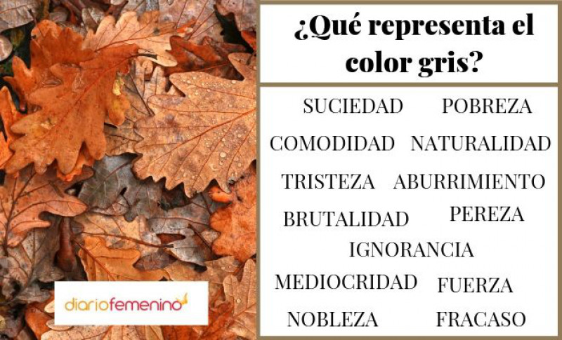 Color marrón según la psicología: significados y usos beneficiosos
