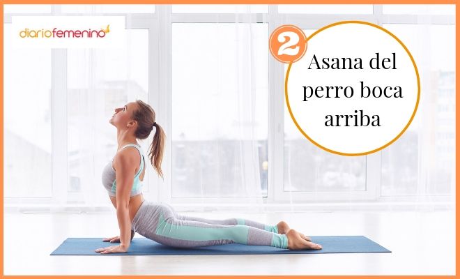 Postura del perro boca arriba para el dolor de espalda