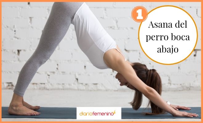 Postura del perro boca abajo para el dolor de espalda