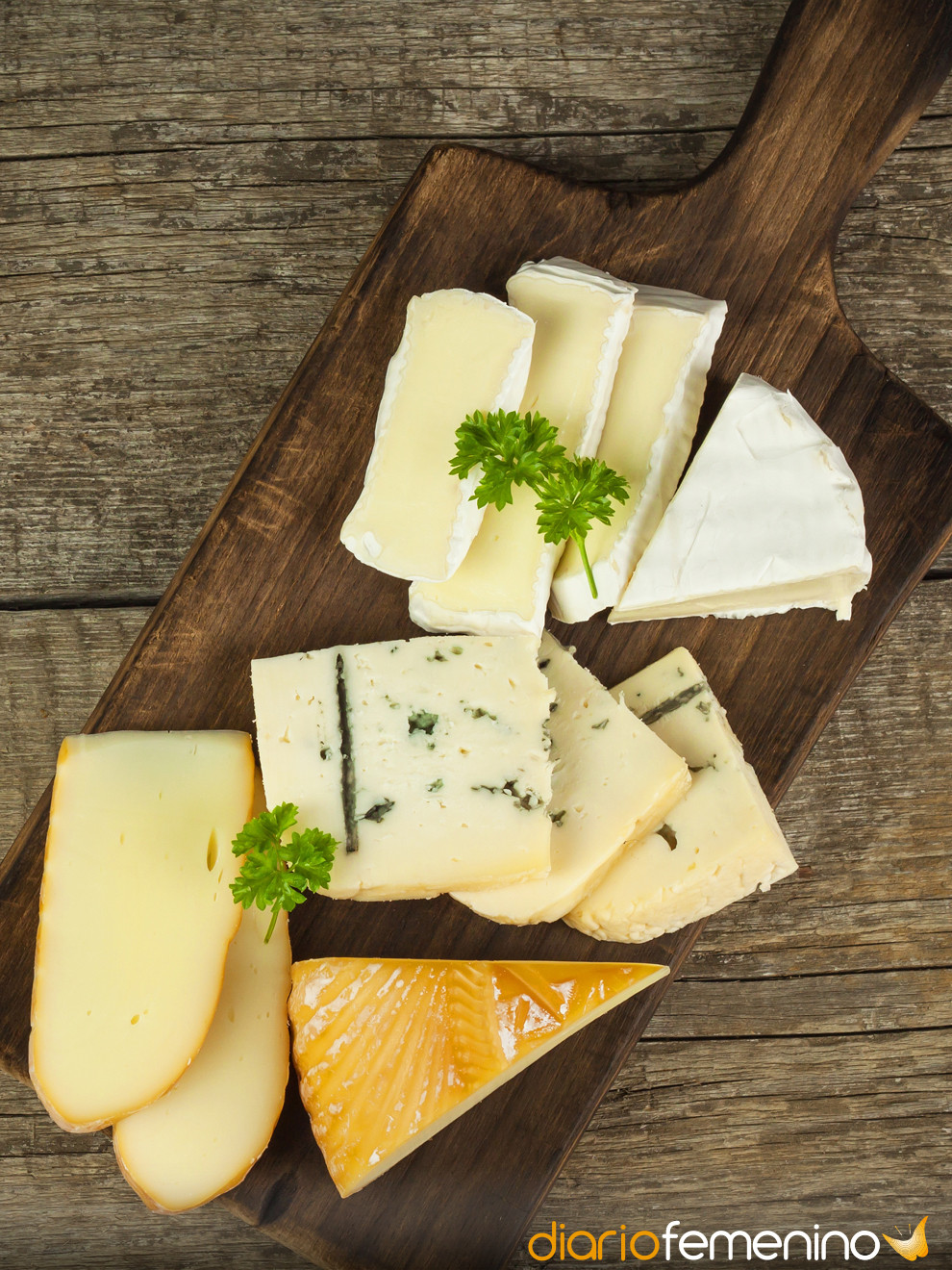 4 consejos para conservar el queso fresco por más tiempo