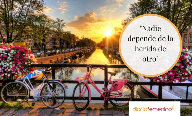 Los más sabios proverbios holandeses