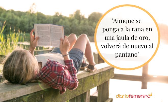 Refranes holandeses para reflexionar