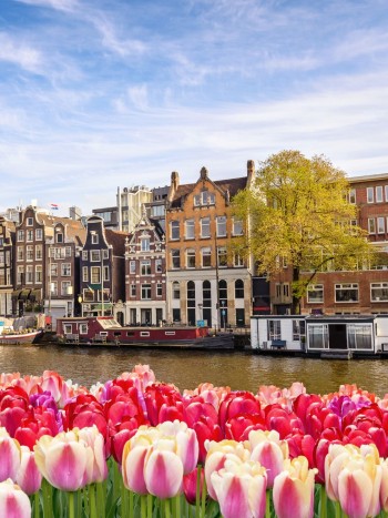 26 refranes y proverbios holandeses: dichos populares geniales y sinceros