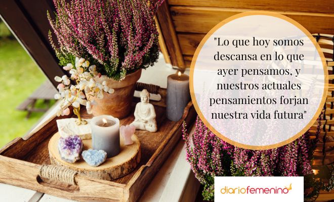 Proverbios muy bellos del budismo