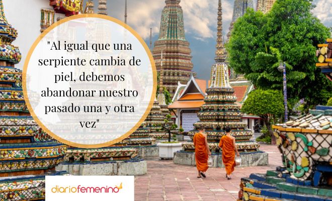 Frases y refranes del budismo