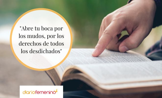 Proverbios bíblicos sobre la vida para reflexionar