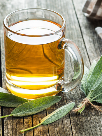 La fregosa como planta medicinal: grandes beneficios y eficaces usos