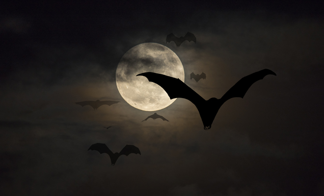 Significado de soñar con vampiros que vuelan