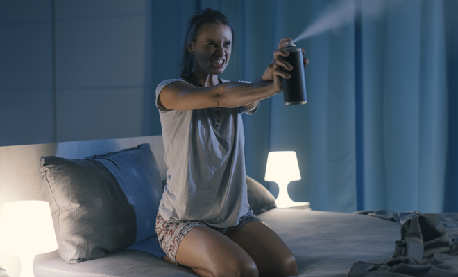 El significado de soñar con moscas en la cama