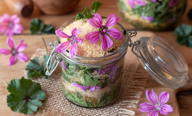 Malva para las picaduras de insectos