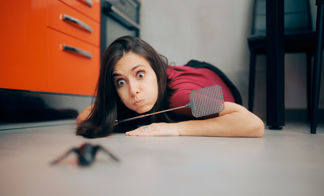 Qué significa soñar con matar a una mosca o con moscas muertas