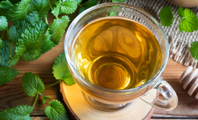 Melisa para las picaduras de insectos