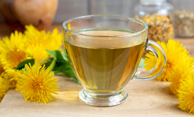 Diente de león para el colesterol