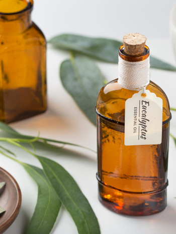 6 usos y propiedades eficaces del eucalipto como planta medicinal