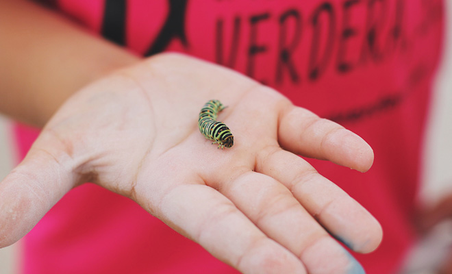 Qué significa soñar que otra persona tiene larvas en el cuerpo