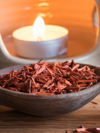 Beneficios mágicos y contraindicaciones del sándalo como planta medicinal