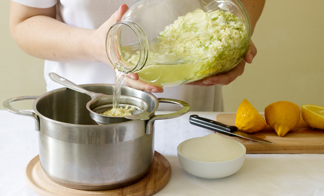 La alquilea, una planta medicinal para combatir la tos