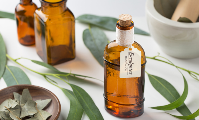 Cómo utilizar el eucalipto para olvidarte de la tos