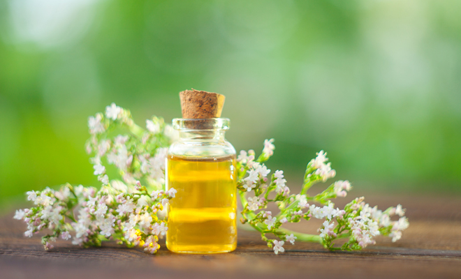 La valeriana y su efecto contra la ansiedad