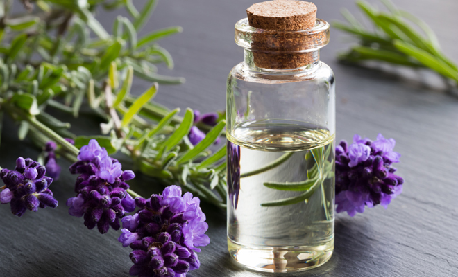 El aroma de lavanda puede ayudarte a reducir la ansiedad