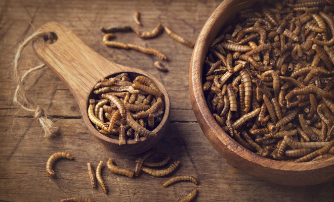 Qué significado tiene soñar con gusanos en la comida