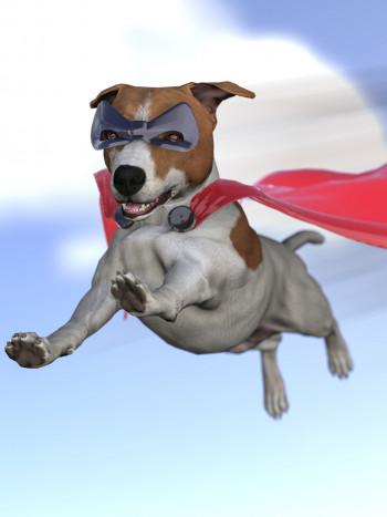 Nombres para perros inspirados en Marvel: solo aptos para superhéroes