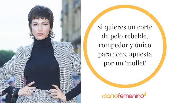 Así es el corte de pelo mullet para 2023