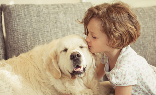 Encuentra el nombre más bonito para tu cachorro
