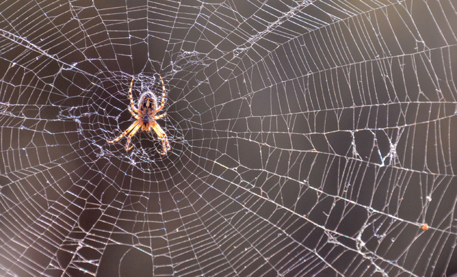 Anansi: la leyenda africana completa