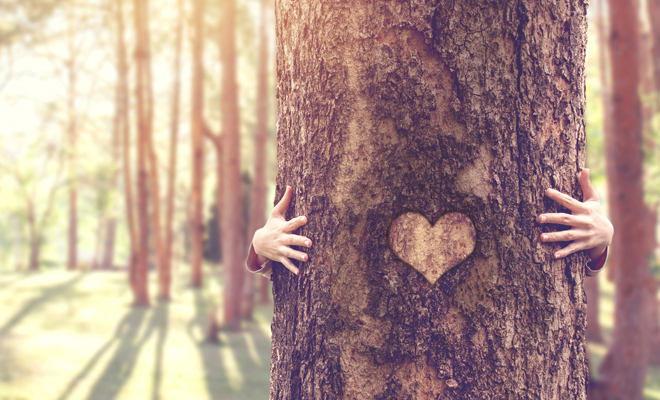 ¿De qué trata la leyenda africana de Ayana?