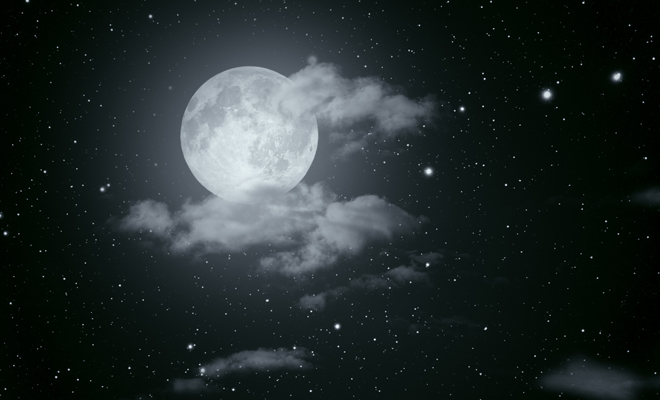 ¿Qué se sueña antes de morir?