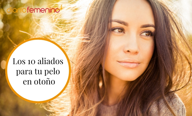 La importancia de los aliados para tu pelo en otoño