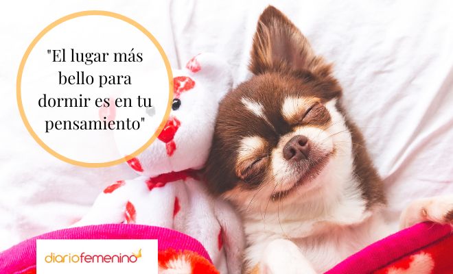 Las frases más románticas para dar las buenas noches