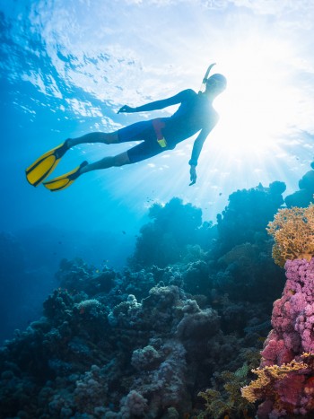 Soñar con bucear: cómo llegar hasta el fondo