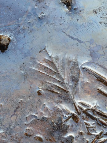 Soñar con agua estancada: reflejo de tu realidad