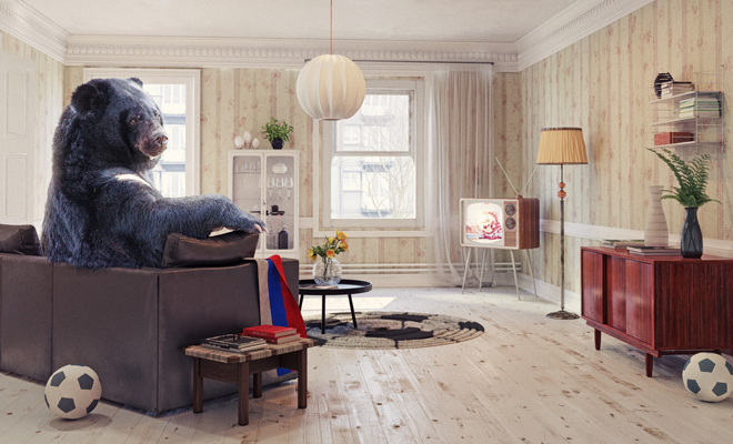 Soñar con un animal salvaje en casa: significado