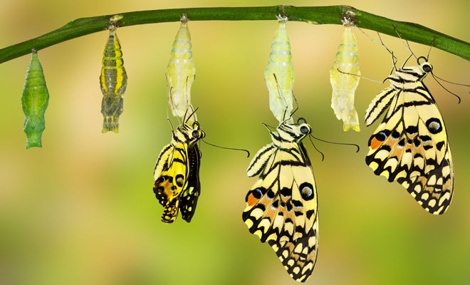 Cómo superar la motefobia