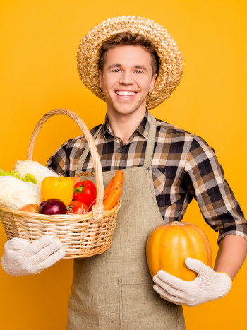 Soñar con un frutero: aprovecha la energía natural