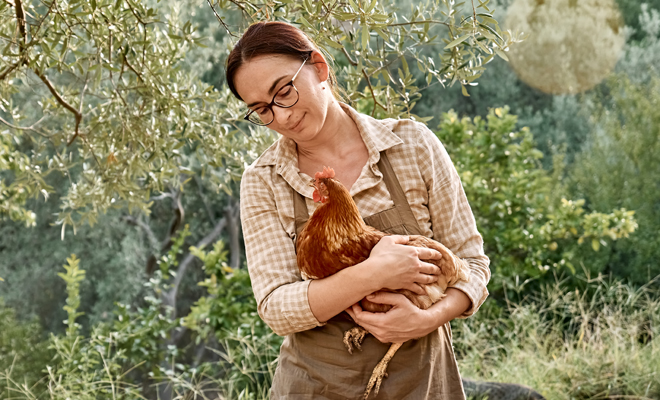 Significado de soñar que tienes una gallina como mascota o que te regalan una gallina