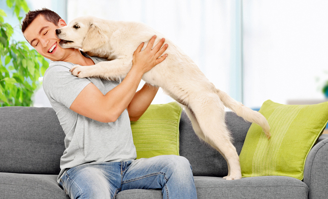 Llama a tu mascota con alguno de estos nombres de perros