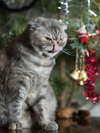 10 motivos por los que odias la Navidad (con toda la razón del mundo)